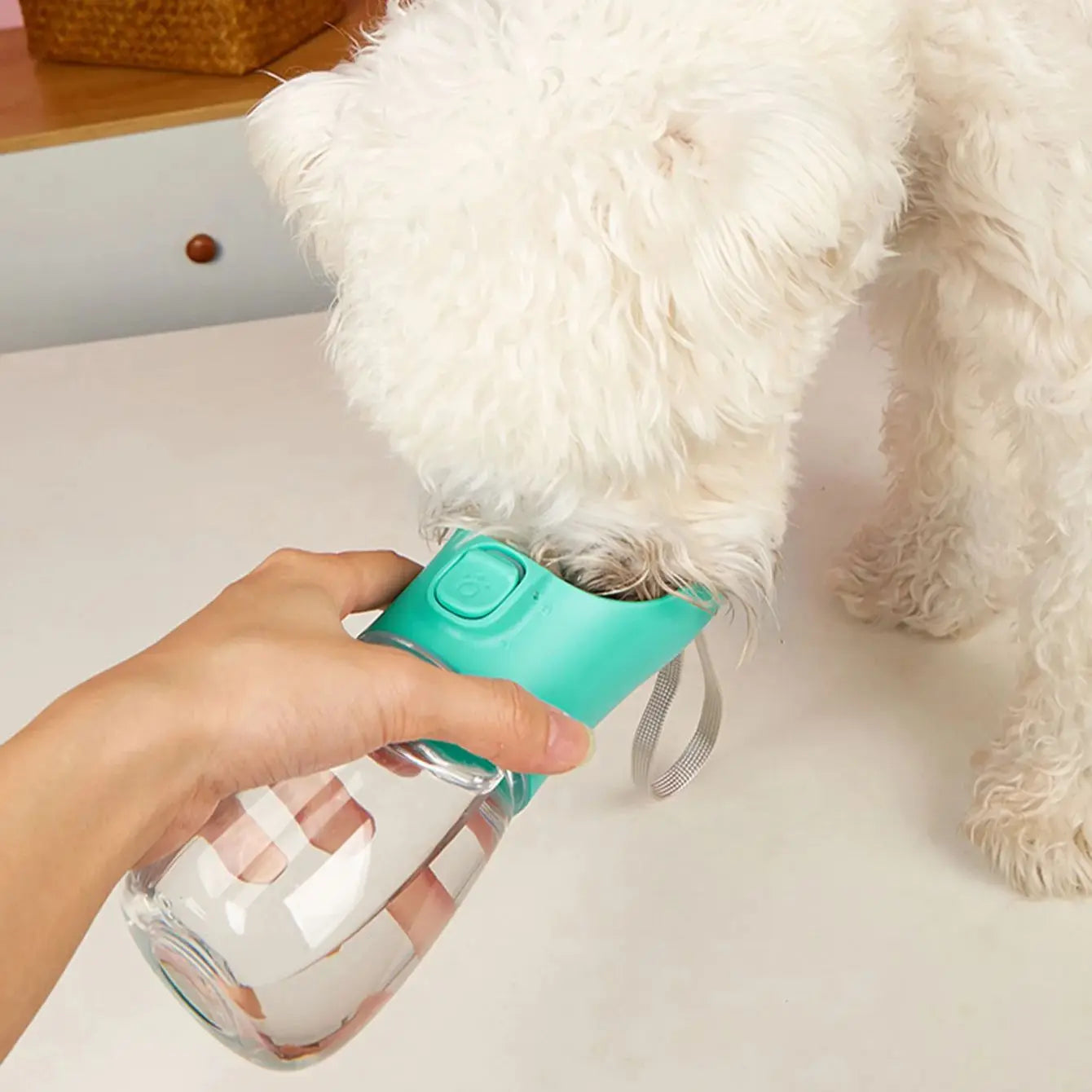 PawDrink - Tragbare Wasserflasche für Hunde