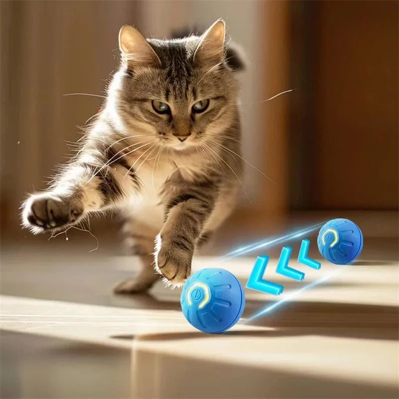 PlayPaw - Intelligenter Spielball für Hunde