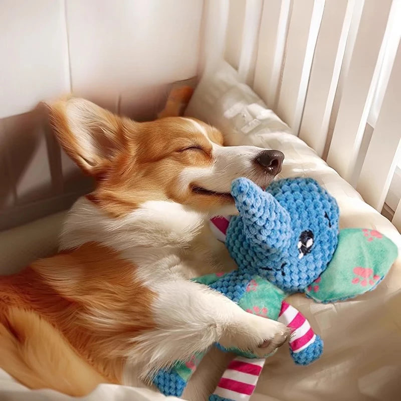 „PawPlush“ – Weiches Kauspielzeug mit Quietscher