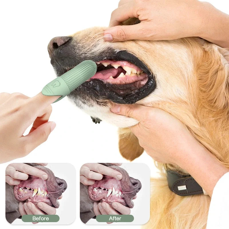 PawBrush - Fingerzahnbürste für Hunde & Katzen